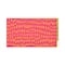 Hothouse Pink & Orange Dinner Napkins, 20ct. by Celebrate It™